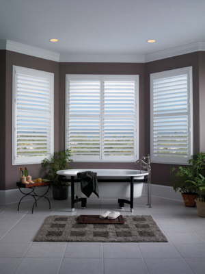 Shutters in Bathroom